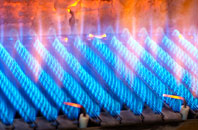 Blore gas fired boilers